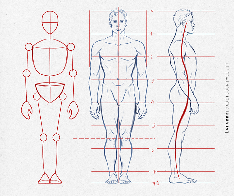 disegnare un corpo da uomo